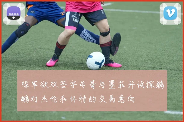 绿军欲双签字母哥与墨菲并试探鹈鹕对杰伦和怀特的交易意向