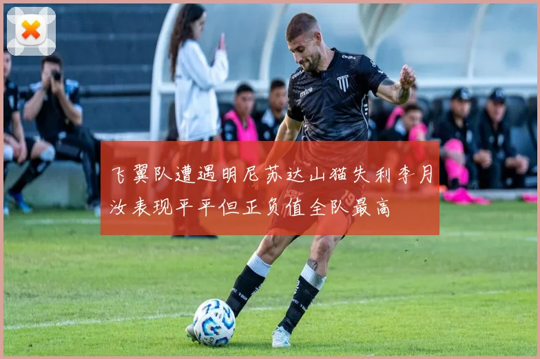 飞翼队遭遇明尼苏达山猫失利李月汝表现平平但正负值全队最高